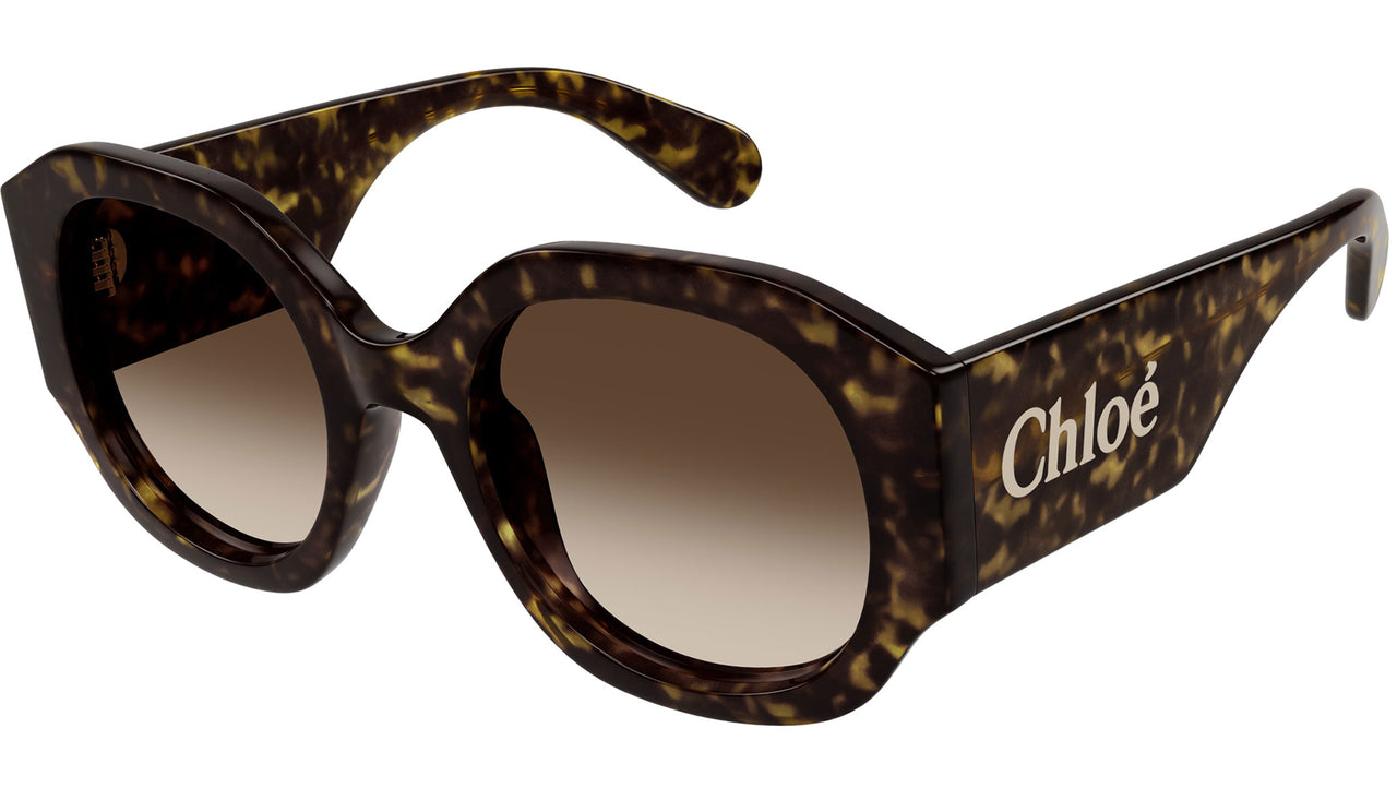 CH0234S 002 Tortoise Brown