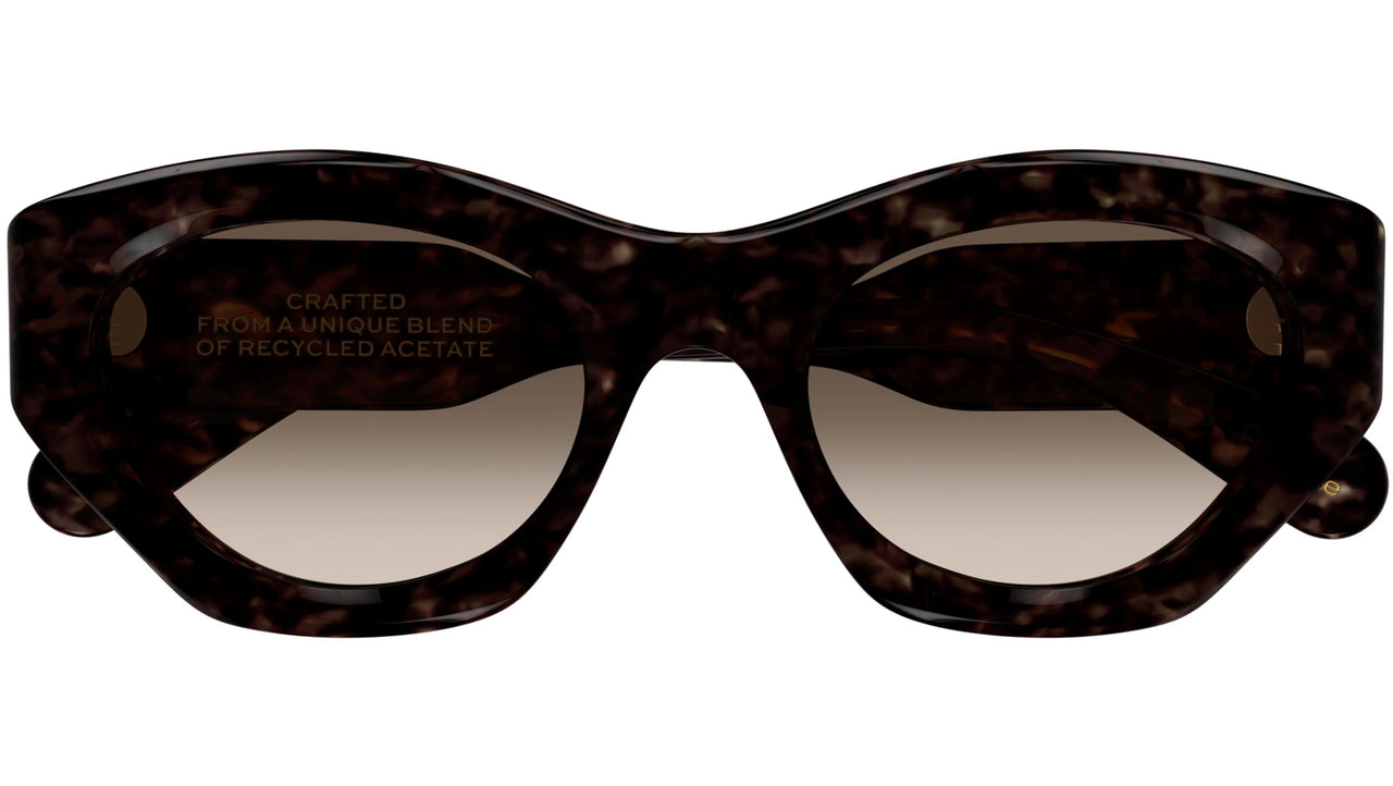 CH0220S 002 Tortoise Brown