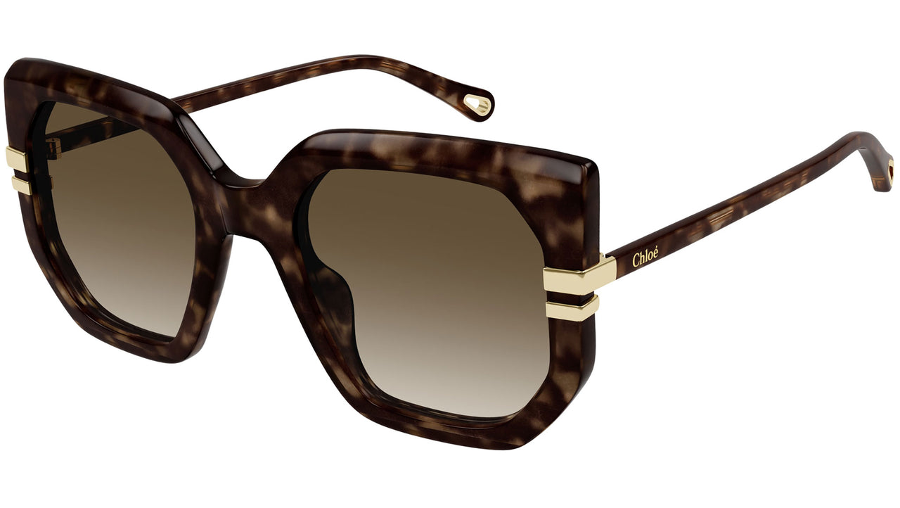 CH0240S 002 Tortoise Brown