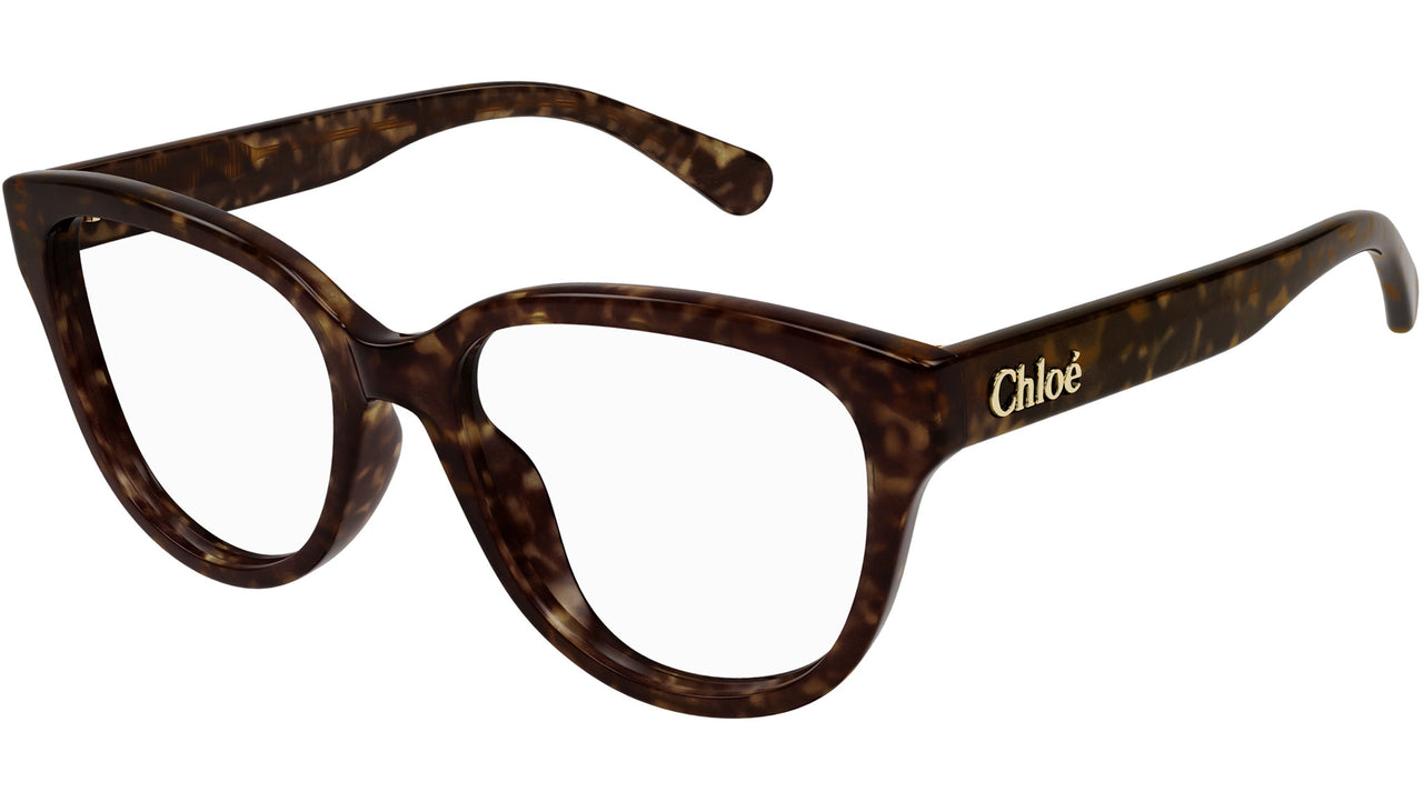 CH0243O Dark Tortoise