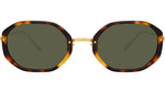 Tayler C2 Tortoiseshell