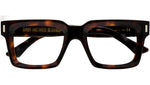 1386 Optical 02 dark turtle