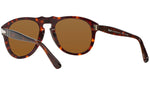 PO0649 havana brown polar