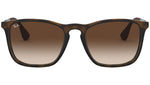 Chris RB4187 tortoise