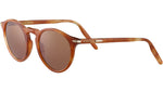 Raffaele 8953 Brown