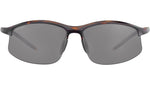 Winslow SS551 003 Tortoise