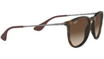 Erika Classic RB4171 matte tortoise