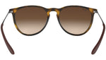 Erika Classic RB4171 matte tortoise