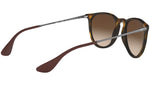 Erika Classic RB4171 matte tortoise