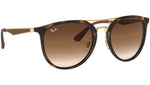 RB4285 tortoise and brown