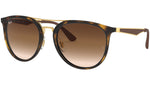 RB4285 tortoise and brown