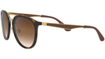 RB4285 tortoise and brown