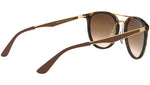 RB4285 tortoise and brown