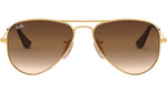 Aviator RJ9506S 223/13 arista