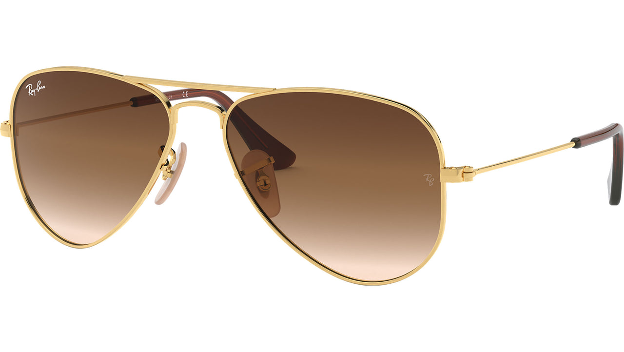 Aviator RJ9506S 223/13 arista