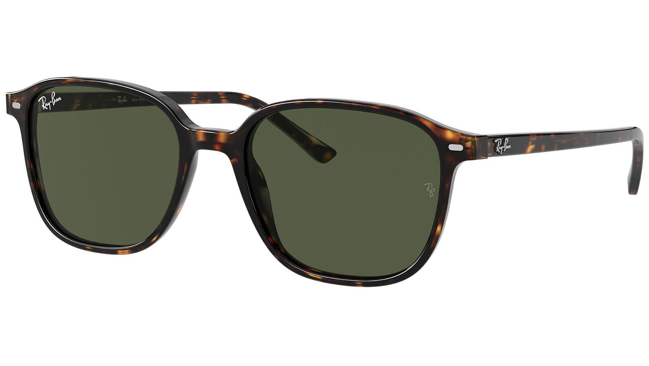 Leonard RB2193 tortoise