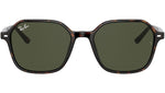 John RB2194 902/31 tortoise