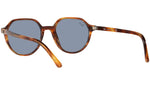 Thalia RB2195 954/62 striped havana