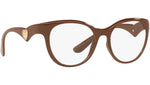 DG 5069 3292 brown