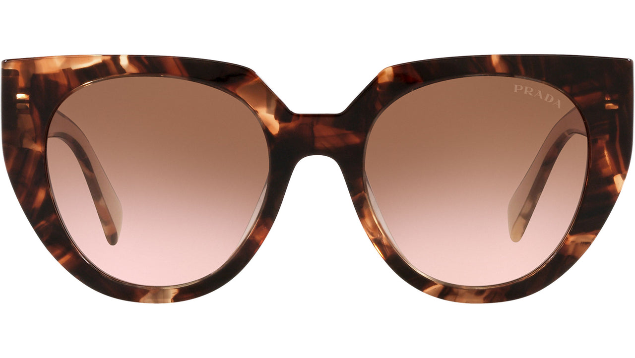 PR 14WS caramel tortoise and powder