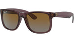 Justin RB4165 6597T5 transparent dark brown