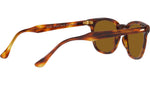 Hawkeye RB2298 954/33 striped havana