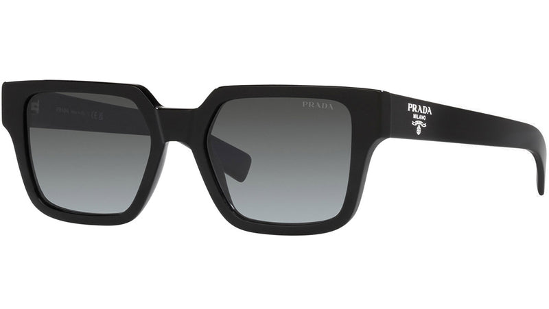 PRADA PR 03ZS 2AU08G Tortoise Black Polarized 54 mm Men's Sunglasses