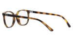 RY9097V 3685 Tortoise