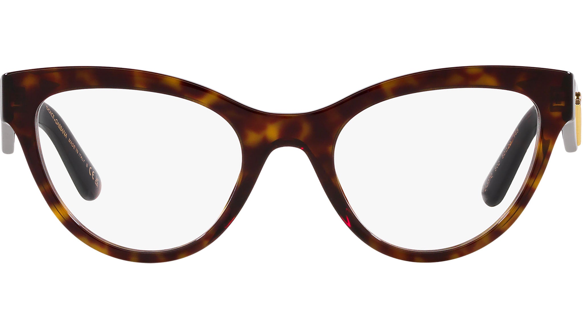 Dolce gabbana 2024 tortoise glasses