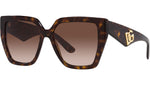 DG 4438 502/13 Tortoise Brown