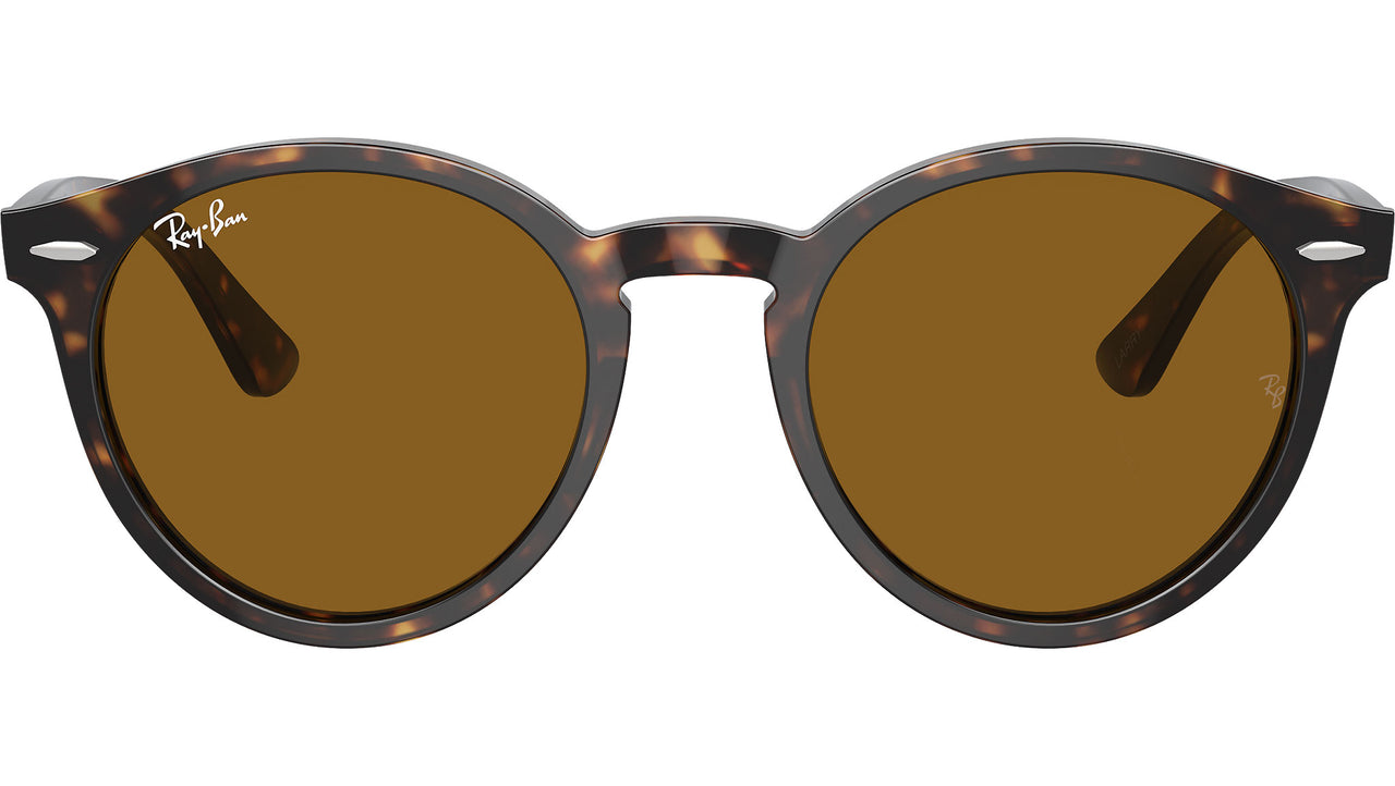 Larry RB7680S 902/33 Havana Brown