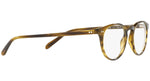 Riley-R OV5004 moss tortoise