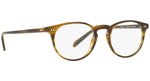 Riley-R OV5004 moss tortoise