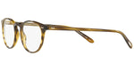 Riley-R OV5004 moss tortoise