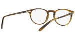 Riley-R OV5004 moss tortoise