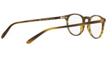 Riley-R OV5004 moss tortoise