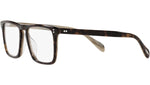 Bernardo-R OV5189U dark tortoise and horn