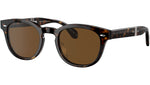 Sheldrake 1950 OV5471SU dark tortoise