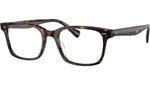 Nisen OV5446U dark tortoise