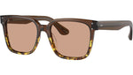 Parcell OV5502U brown