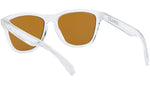 Frogskins OO9013 H7 polished clear